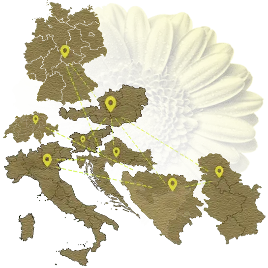 Prevoz pokojnika medjunarodni